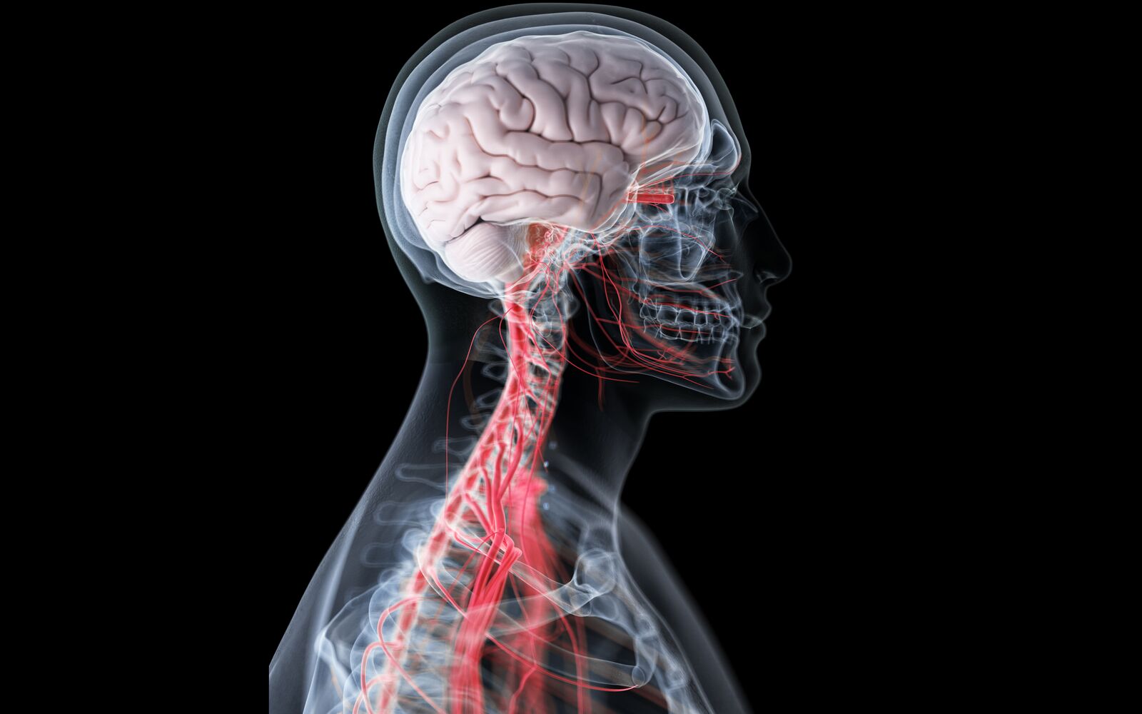 Impacto da Pornografia na Internet na Função Cerebral (Estudo fNIRS)